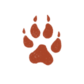 Red Wolf Paw